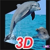 Jeu 3D Real Puzzle Dolphin en plein ecran