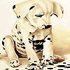 Jeu Alone spotted dog slide puzzle en plein ecran