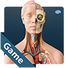 Jeu Anatomicus Anatomy Game en plein ecran