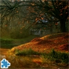 Jeu Autumn Forest Jigsaw Puzzle en plein ecran