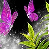 Jeu Beautiful garden butterflies puzzle en plein ecran