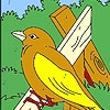 Jeu Bird and spring coloring en plein ecran