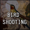 Jeu BIRD SHOOTING en plein ecran