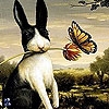 Jeu Black rabbit and friend puzzle en plein ecran