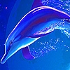 Jeu Blue dolphin in the sea puzzle en plein ecran