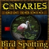 Jeu Canaries in a coalmine – Bird Spotting en plein ecran