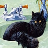 Jeu Cat in the bath slide puzzle en plein ecran