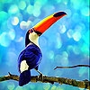 Jeu Colored beaked bird slide puzzle en plein ecran