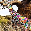 Jeu Colorful  hungry giraffe slide puzzle en plein ecran