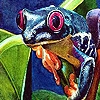 Jeu Colorful lake frogs puzzle en plein ecran