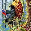 Jeu Colorful turkey in the forest puzzle en plein ecran