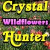 Jeu Crystal Hunter Wildflowers en plein ecran