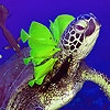 Jeu Deep sea fishes and turtles puzzle en plein ecran