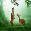 Jeu Deers in the forest slide puzzle en plein ecran