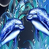 Jeu Dolphin brothers slide puzzle en plein ecran