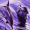 Jeu Dolphins dancer  in the sea puzzle en plein ecran