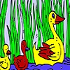 Jeu Duck family in the lake coloring en plein ecran