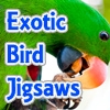 Jeu Exotic Bird Jigsaw Tournament en plein ecran