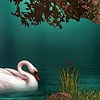 Jeu Fantastic night swans puzzle en plein ecran