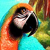 Jeu Fantastic red parrots puzzle en plein ecran