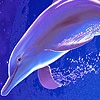 Jeu Fantasy blue sea dolphins puzzle en plein ecran