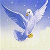 Jeu Flying white seagull slide puzzle en plein ecran