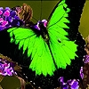 Jeu Green garden butterflies puzzle en plein ecran