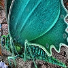 Jeu Green garden butterfly slide puzzle en plein ecran