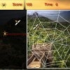 Jeu Hunting Spider – Asia en plein ecran