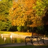 Jeu Jigsaw: Autumn Pond en plein ecran