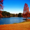 Jeu Jigsaw: Lake Autumn en plein ecran