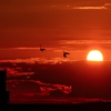 Jeu Jigsaw: Red Sunset en plein ecran
