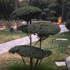 Jeu Jigsaw: Sculpted Tree en plein ecran