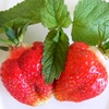 Jeu Jigsaw: Strawberries en plein ecran