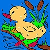 Jeu Little duck in the river coloring en plein ecran