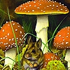 Jeu Mushroom garden puzzle en plein ecran