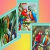 Jeu Parrot family in forest puzzle en plein ecran