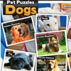 Jeu Pet Puzzles: Dogs en plein ecran