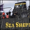 Jeu Picture Changing Jigsaw – SeaShepherd.org en plein ecran