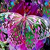 Jeu Pink fantasy butterfly slide puzzle en plein ecran