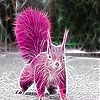 Jeu Pink field squirrel slide puzzle en plein ecran