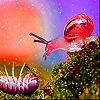 Jeu Pink Snail in garden slide puzzle en plein ecran