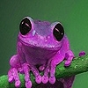 Jeu Purple acrobat frog slide puzzle en plein ecran