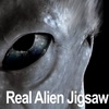Jeu Real Alien Jigsaw en plein ecran