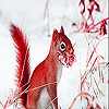 Jeu Red squirrel in the snow slide puzzle en plein ecran
