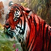 Jeu Red wild tigers puzzle en plein ecran