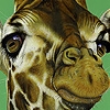 Jeu Shy giraffe faces puzzle en plein ecran