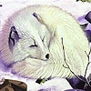 Jeu Sleepy white fox puzzle en plein ecran