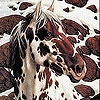 Jeu Snow and horse slide puzzle en plein ecran