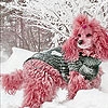 Jeu Snow and pink dog slide puzzle en plein ecran